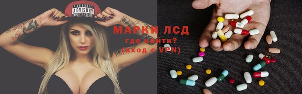 прущие грибы Бугульма