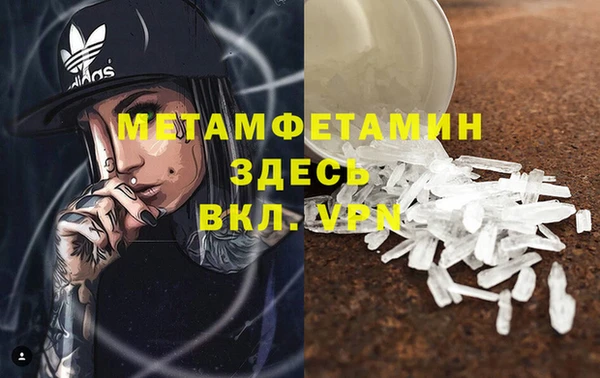 прущие грибы Бугульма