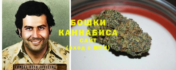 прущие грибы Бугульма