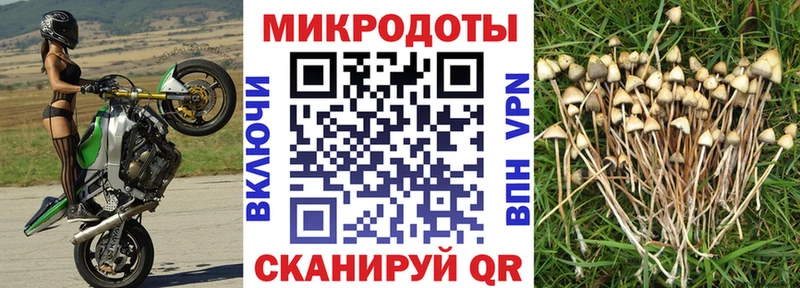 Псилоцибиновые грибы GOLDEN TEACHER  Корсаков 